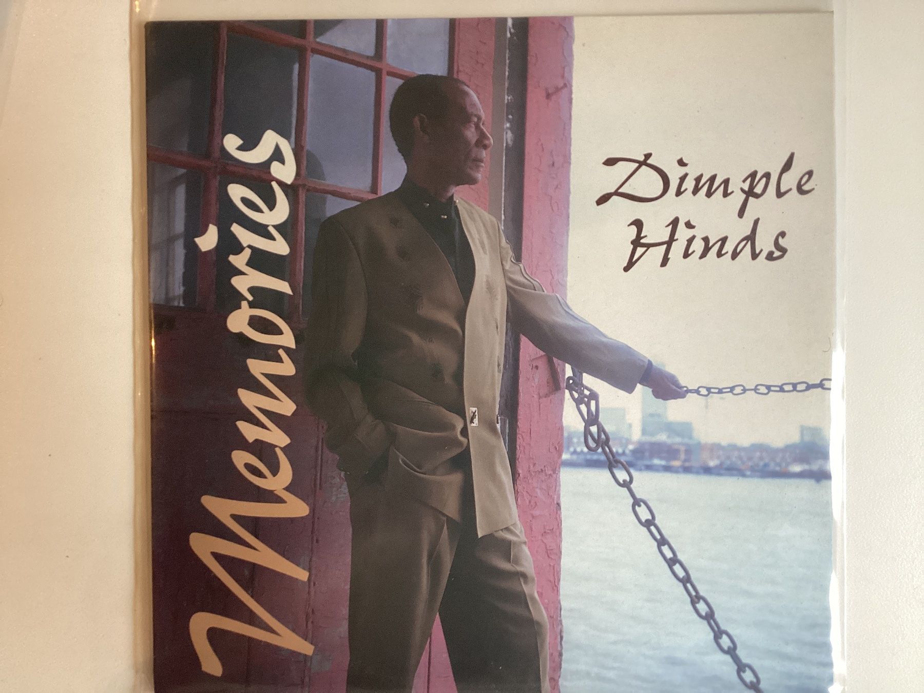 Dischi in vinile: Dimple Hinds LP - Memories – Usato da Gutenswil venduto da Hamzian