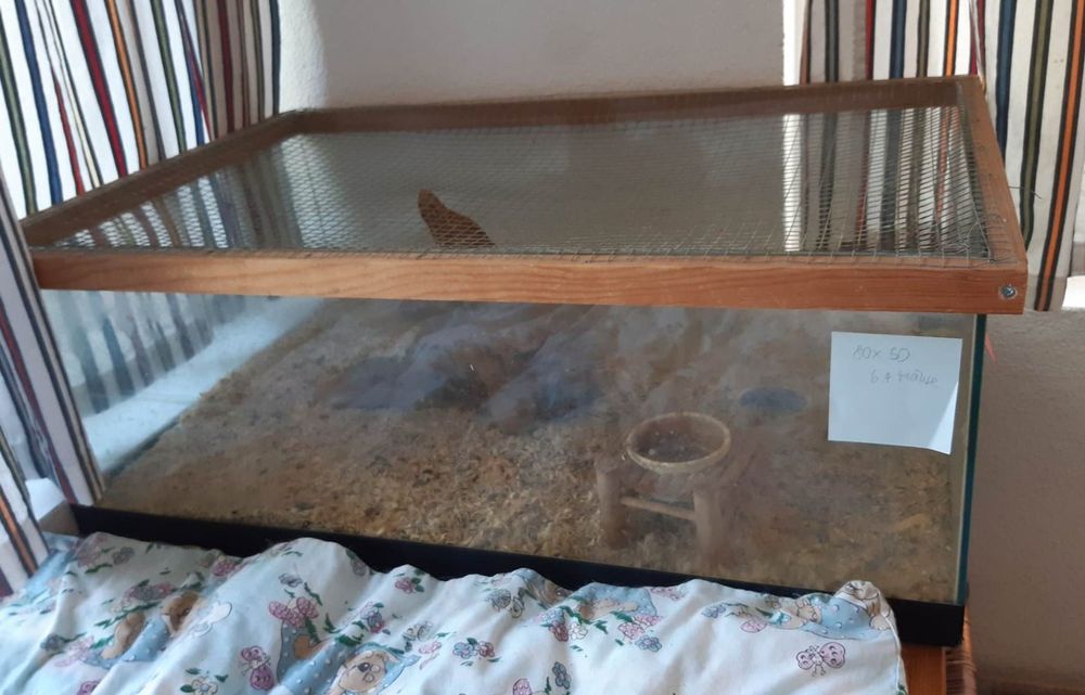 Terrarium mit selbstgemachtem Gitterdeckel | Kaufen auf Ricardo