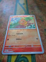 POKEMON  Flemmli    I  DRI DE    040/182    KP70    2025
