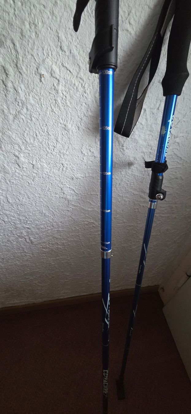 Bastoncini da trekking: Walking Stöcke Blau Faltbar – Usato da Niederbipp venduto da Trude04 6