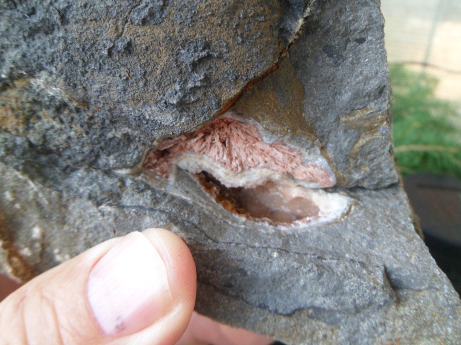 Fossili: Ammonitstück dreiteilig. Schweiz – Usato da Affoltern am Albis venduto da Fossil60 2