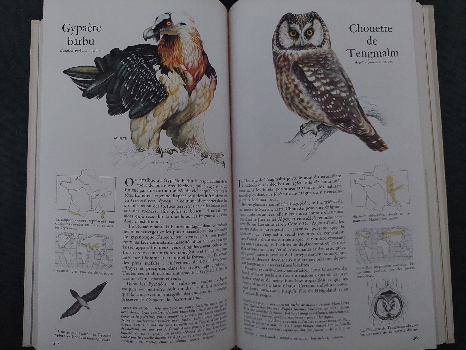 Bücher: Guide des Oiseaux – Neu (gemäss Beschreibung) aus Yverdon-les-Bains von pri_x6j6 3
