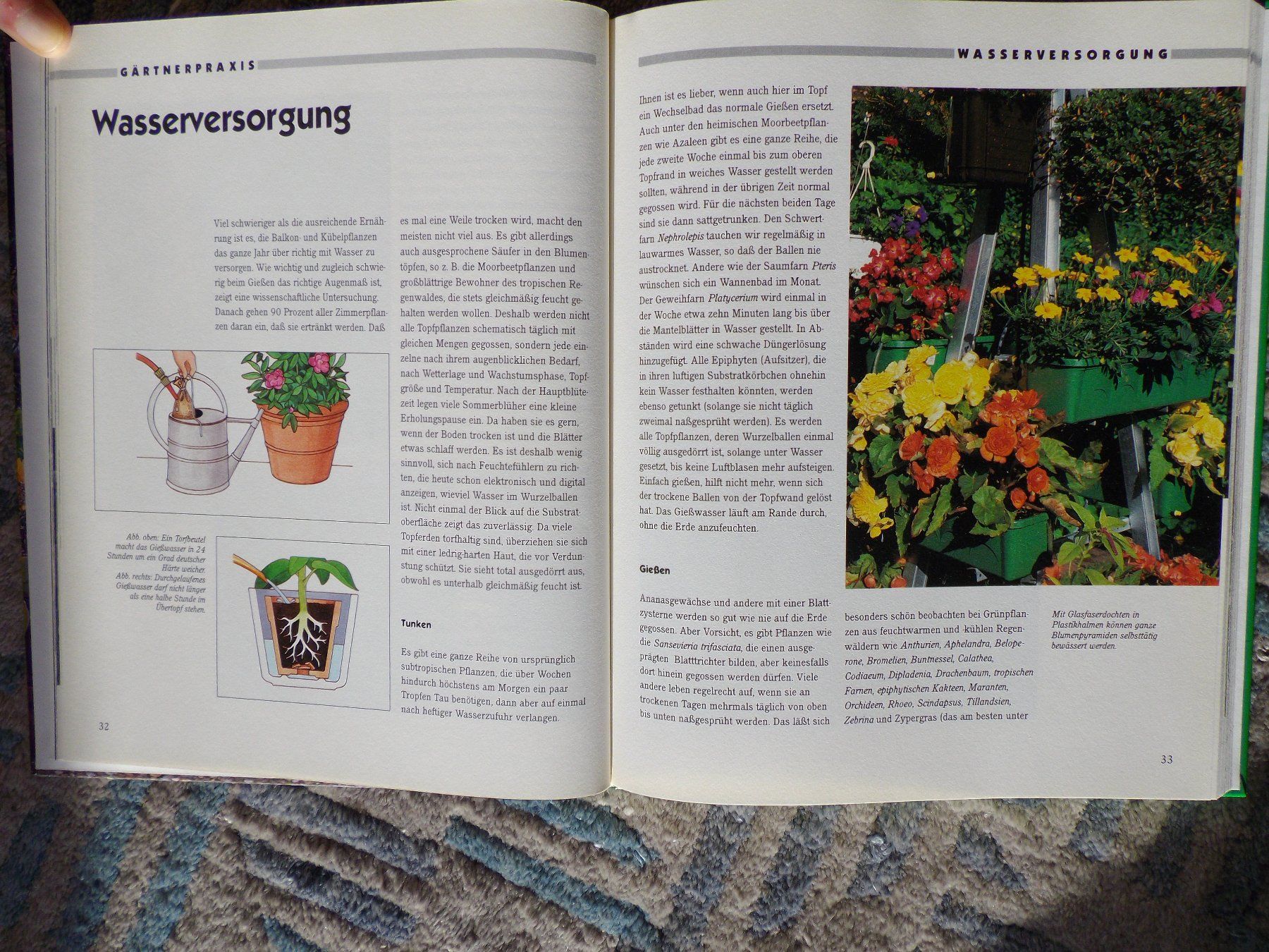 Libri: Gärtnern auf Terrasse und Balkon – Usato da Uster venduto da urs_75by 4