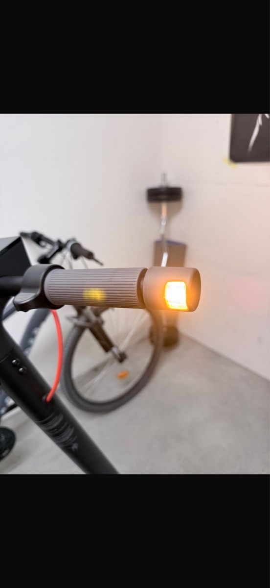 Scooter: E-Scooter mit Blinkerfunktion – Usato da Ennetbürgen venduto da leejlagg