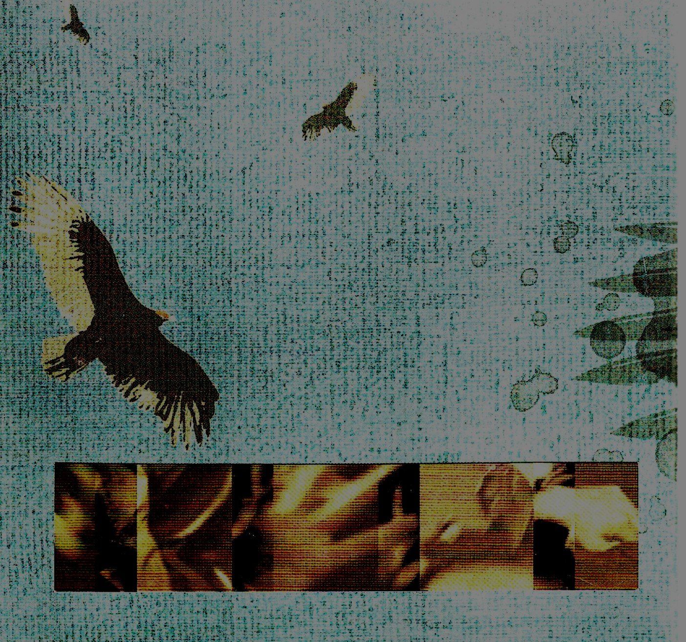 CDs: boysetsfire THE MISERY INDEX: NOTES FROM PLAGUE YEARS CD/DVD – D'occasion à Kandergrund par Sososo 3