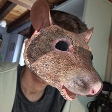 Profile image of bovgae