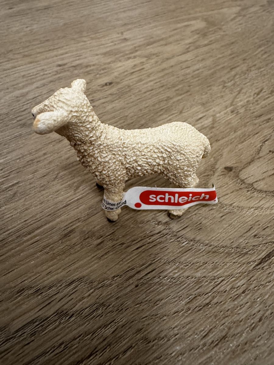 Schleich Figurines: Schleich Lamm  – Neuf (Voir description) à St. Gallen par lea_hq2w 1