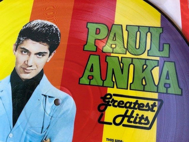 Dischi in vinile: Paul Anka – Usato da Aarwangen venduto da Jukebox3 3