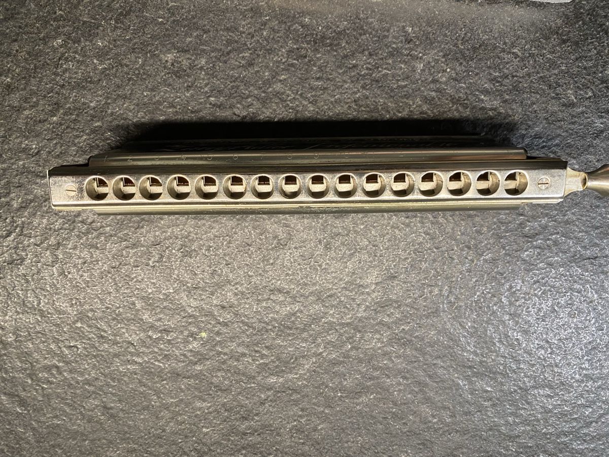Hohner Strumenti musicali: Mundharmonika Hohner, The Larry Adler Professional 16 – Usato da Helgisried-Rohrbach venduto da Ginger2014 2