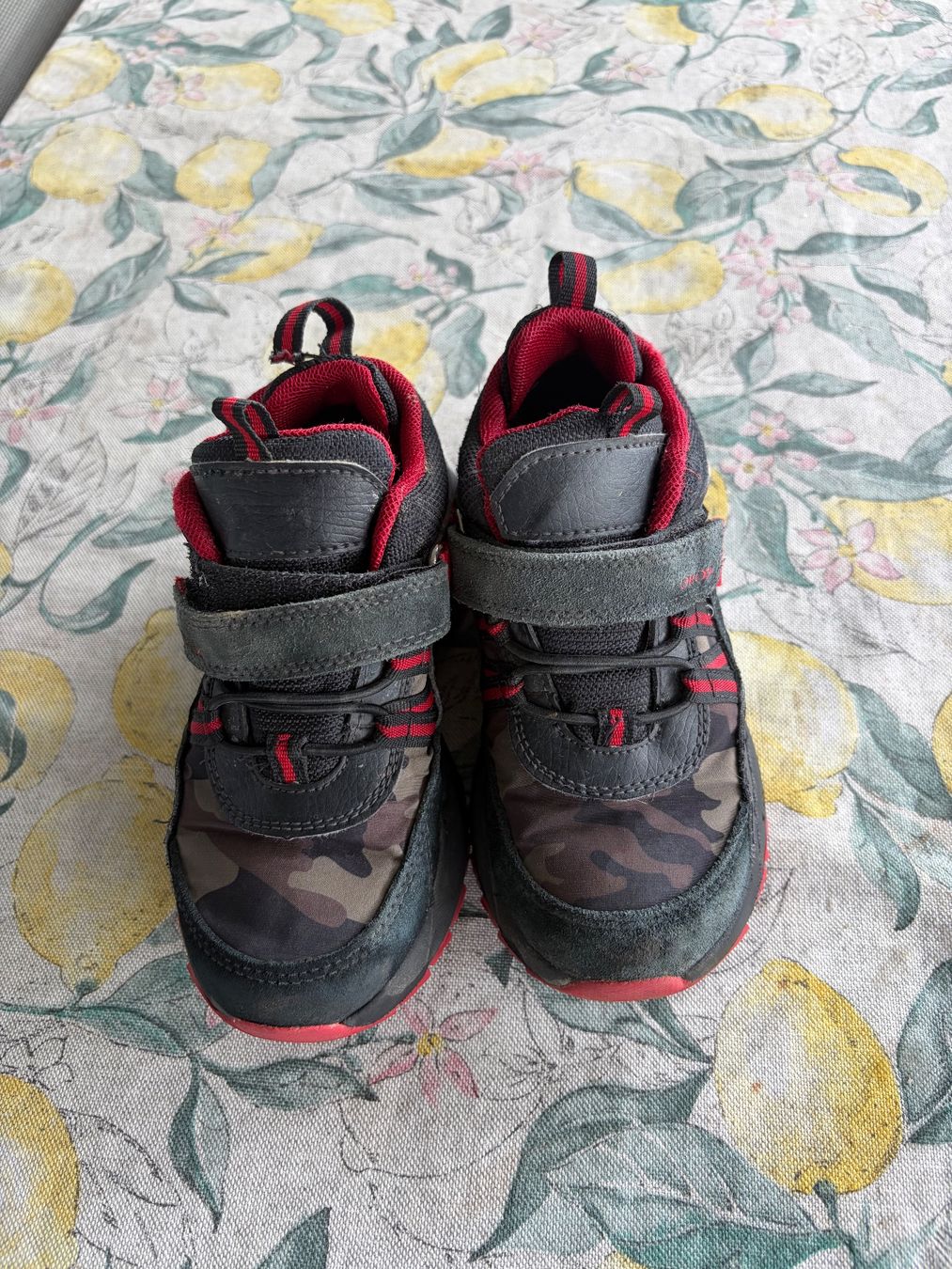 Geox Schuhe für Jungen: Geox 29 – Gebraucht aus Schlieren von gor_jgx7