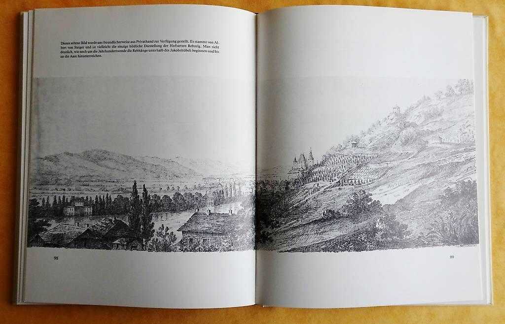Libri: Thuner Reben - Thuner Wein – Usato da Bern venduto da janosh-08 3