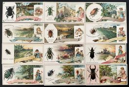 Suchard - Serie von 12 Chromobilder / Anciennes chromos 1898