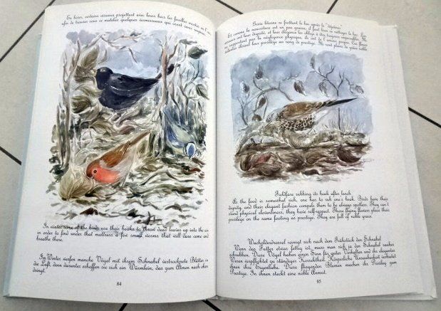Bücher: Le ballet des oiseaux Vogelreigen – Gebraucht aus Wetzikon ZH von strubeli024 9