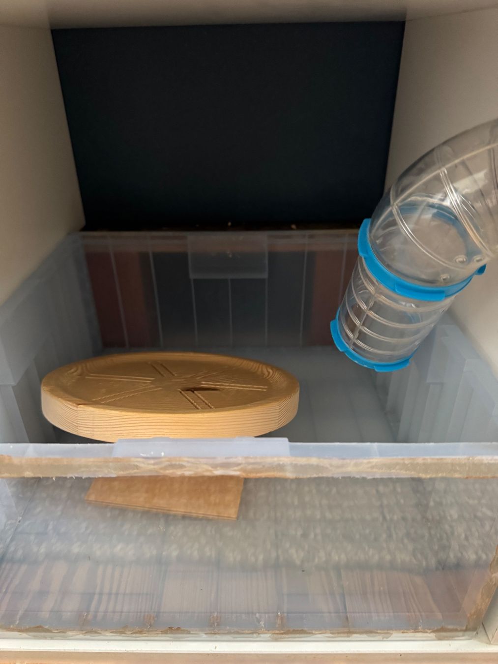 Gabbie, trasporto & Sicurezza: Hamsterkäfig IKEA-Hack Kallax – Usato da Winterthur venduto da Reto7500 2