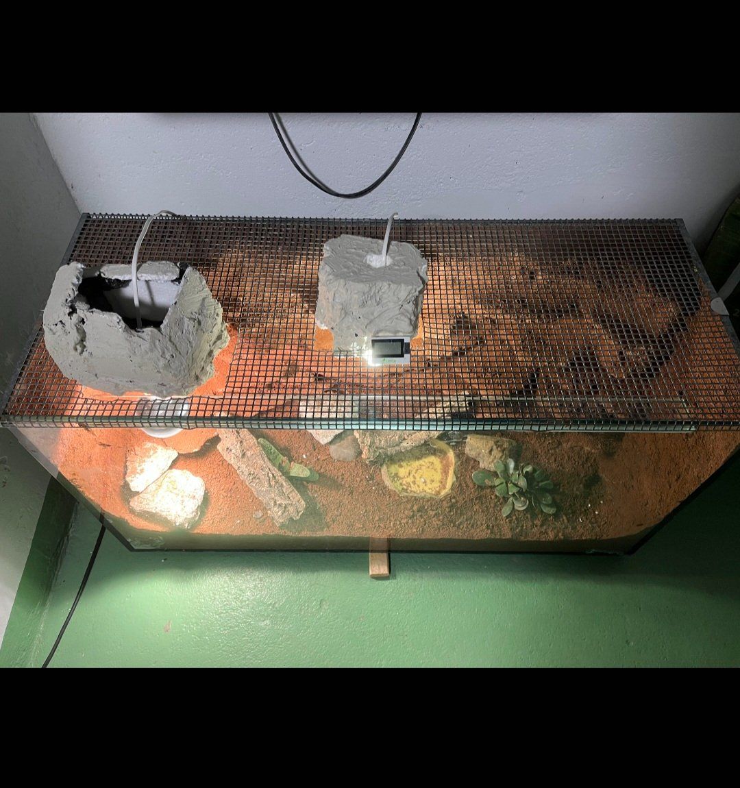 Terrariums: Terrarium – D'occasion à Bern par Babs800 3
