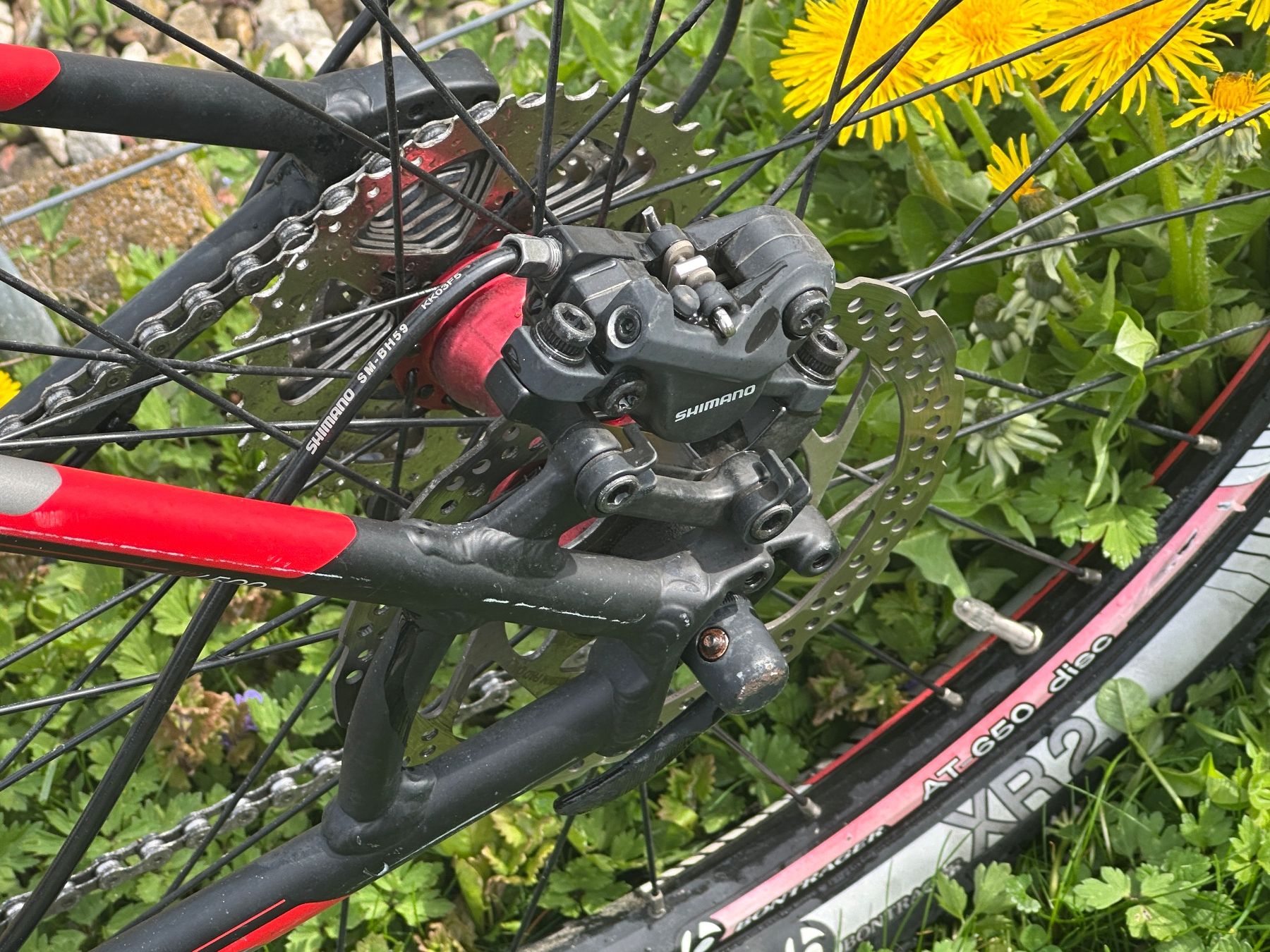 Trek Velos: Velo Mountainbike TREK – Gebraucht aus Mur (Vully) VD von Gcorp1 2