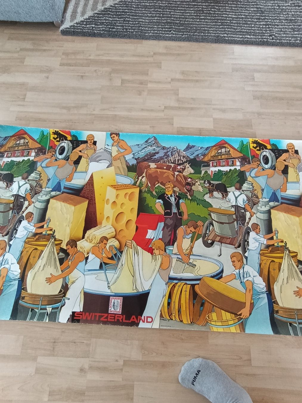 Foto & Immagini: 1975 Schweizer Käse Poster 3,5 Meter lang – Usato da Wil SG venduto da Donaldus 6