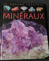 Livre La Grande Imagerie Les Minéraux Fleurus occasion