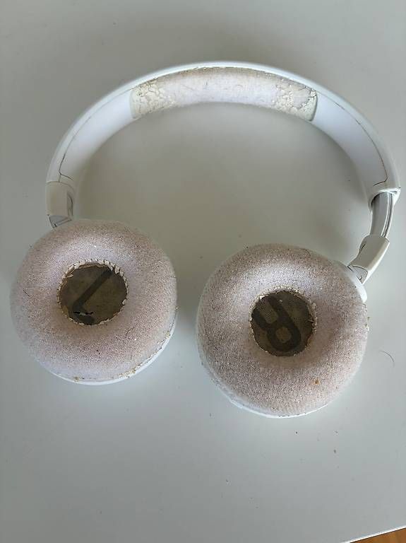 JBL Cuffie: JBL Kopfhörer – Usato da Dielsdorf venduto da aid_6lk7 2
