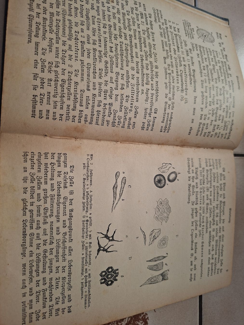 Libri: Bau und Leben – Usato da Meierskappel venduto da rigihans 6