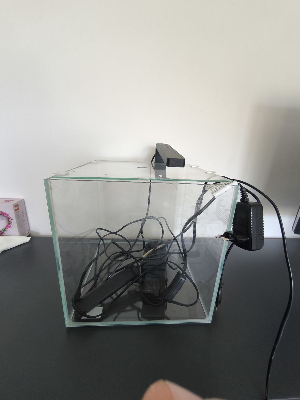 Aquarium: Aquarium 22l  – Gebraucht aus Frenkendorf von m.eigenmann 1