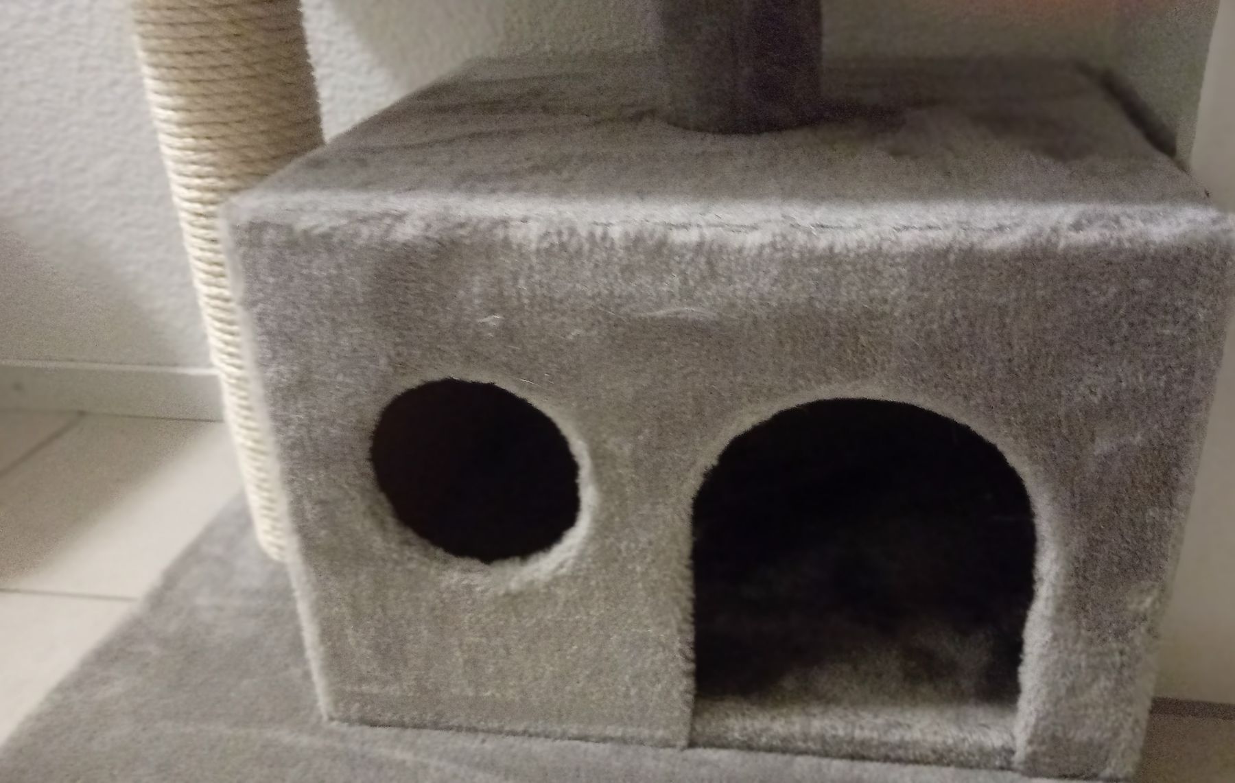 Katzenbaum - Kratzbaum: Katzenbaum hell grau   – Gebraucht aus Reiden von eni_fzg6 2