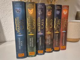 PAKET 🐈  6 x WARRIOR CATS 🐈‍⬛  STAFFEL 03  🐈  KOMPLETT
