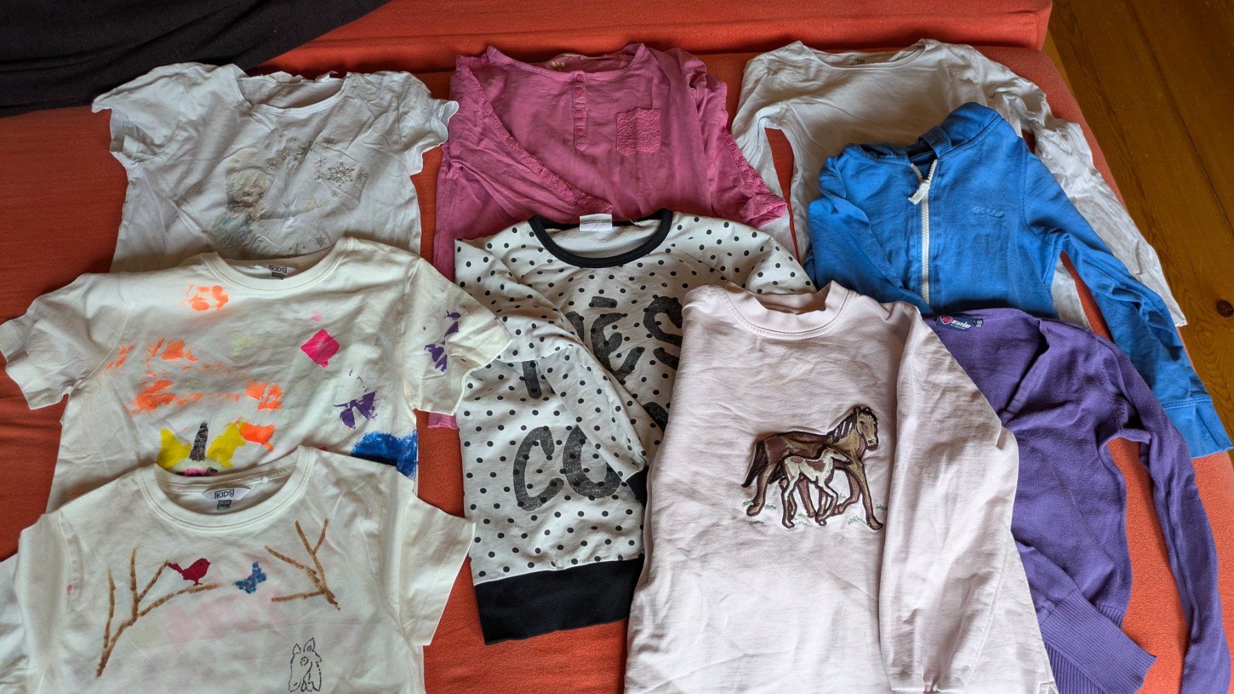 Lotti & Set di vestiti: 9 teiliges Set für Mädchen Gr 134 – Usato da Stein AR venduto da cberger02