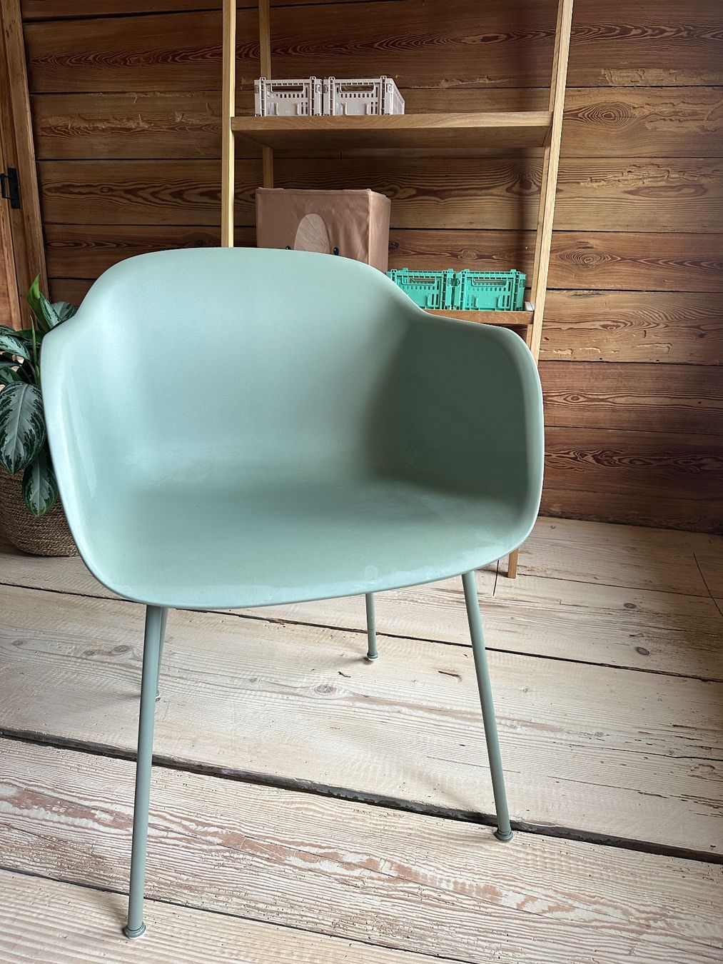 Muuto Sedie: 6 Esszimmerstühle Muuto – Usato da Berneck venduto da betbil 2
