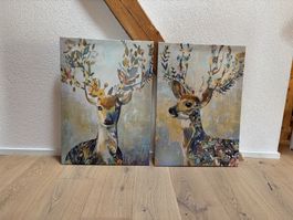 Bilder Reh