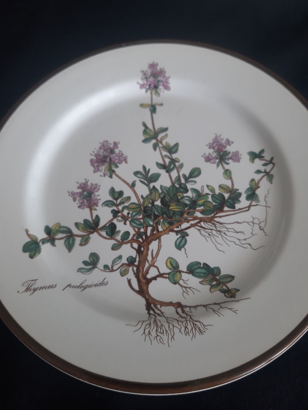 Villeroy & Boch Piatti: 2 Teller V&B. – Nuovo e nell'imballaggio originale da Schattdorf venduto da epp_db95 3