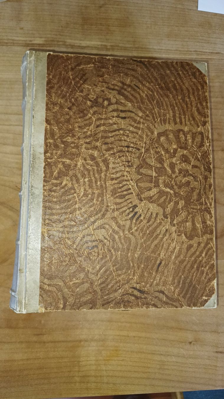 Libri: Die göttliche Komödie antiquarisch – Usato da St. Gallen venduto da walterk06 2