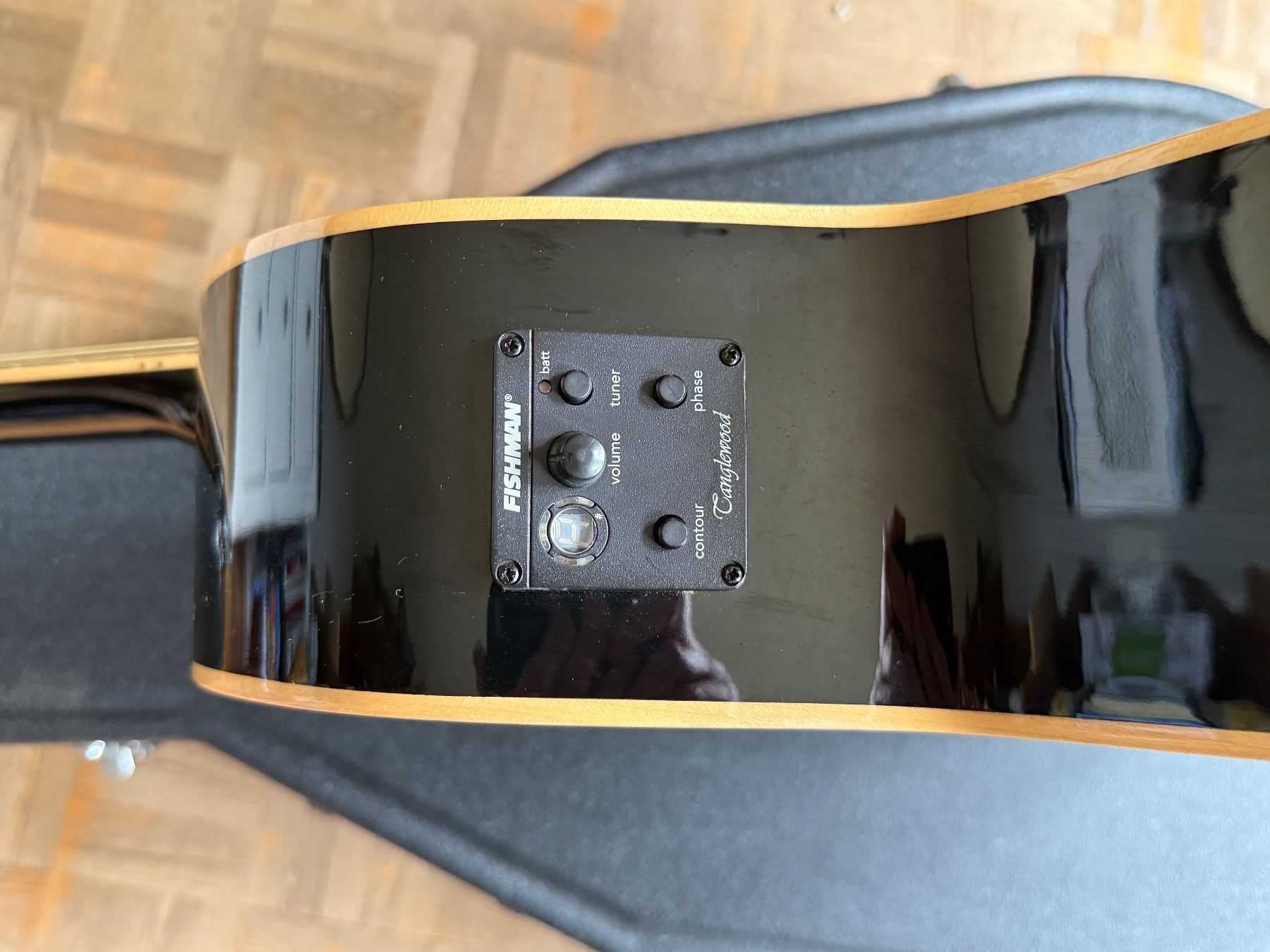 Strumenti musicali: Elektro-Akustikgitarre mit Fishman & Gator Koffer – Usato da Schaffhausen venduto da jplunkett 2