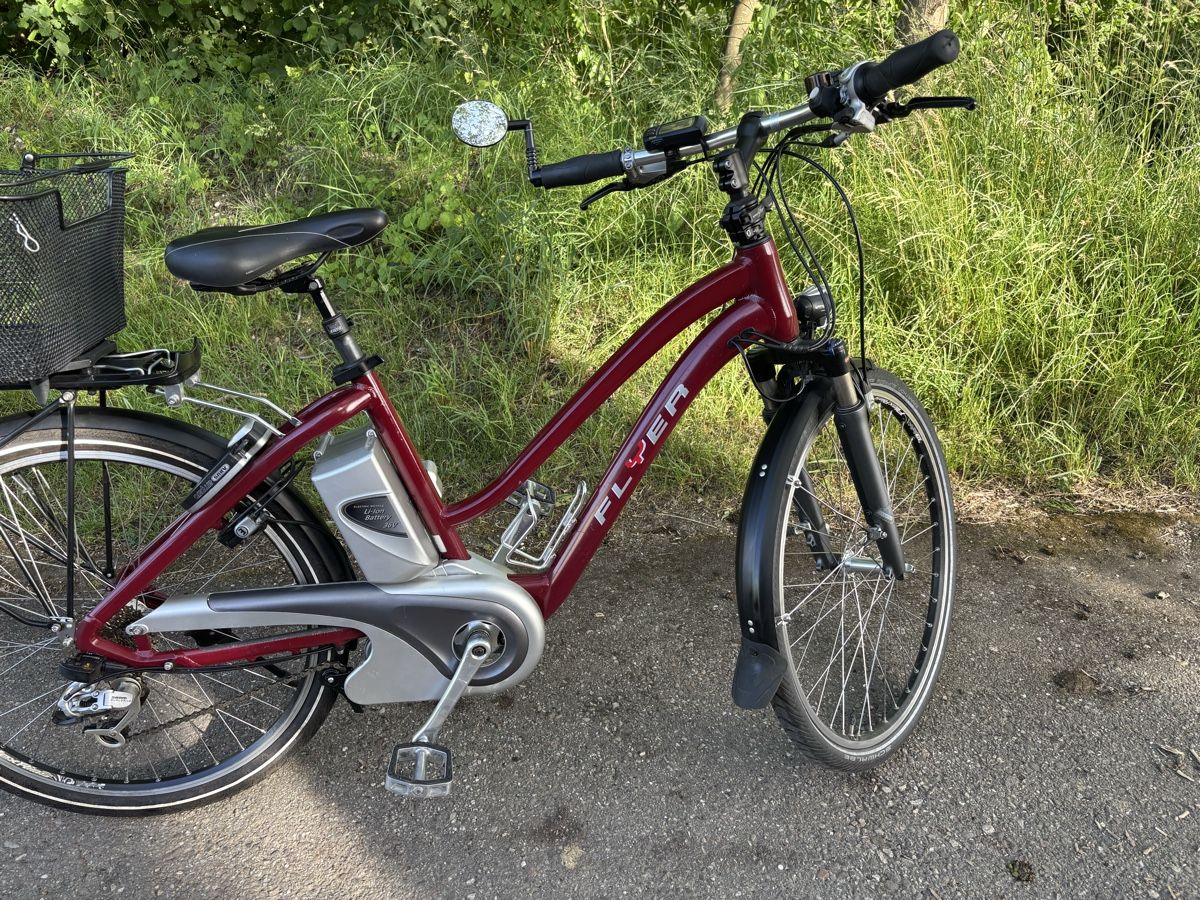 Flyer Biciclette: Flyer 45Km/h – Usato da Kleindietwil venduto da her_d77z 1