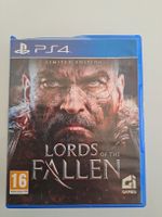 Lords Of The Fallen, PS4 Spiel