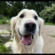 Profile image of jakcy12