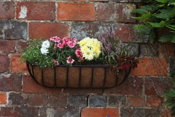 Vasi per fiori: Gardman Georgian Blumentopf  Pflanztopf – Nuovo e nell'imballaggio originale da Zuzwil SG venduto da Cali67 3