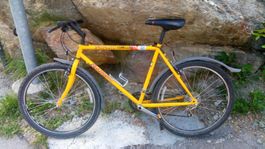 Specialized bike, Rad