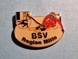 Pin Bündner Skiverband Region Mitte