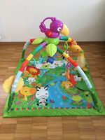 Fisher-Price Rainforest Erlebnisdecke mit Musik & Licht