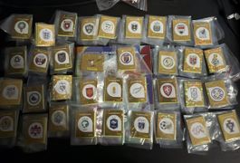 Panini WM 2026 komplettes Set mit Album