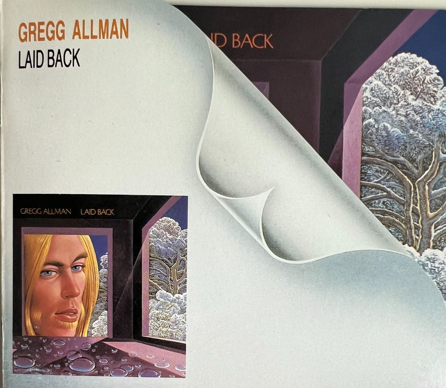 CDs: GREGG ALLMAN / Laid Back – Gebraucht aus Bischofszell von kustavi 3