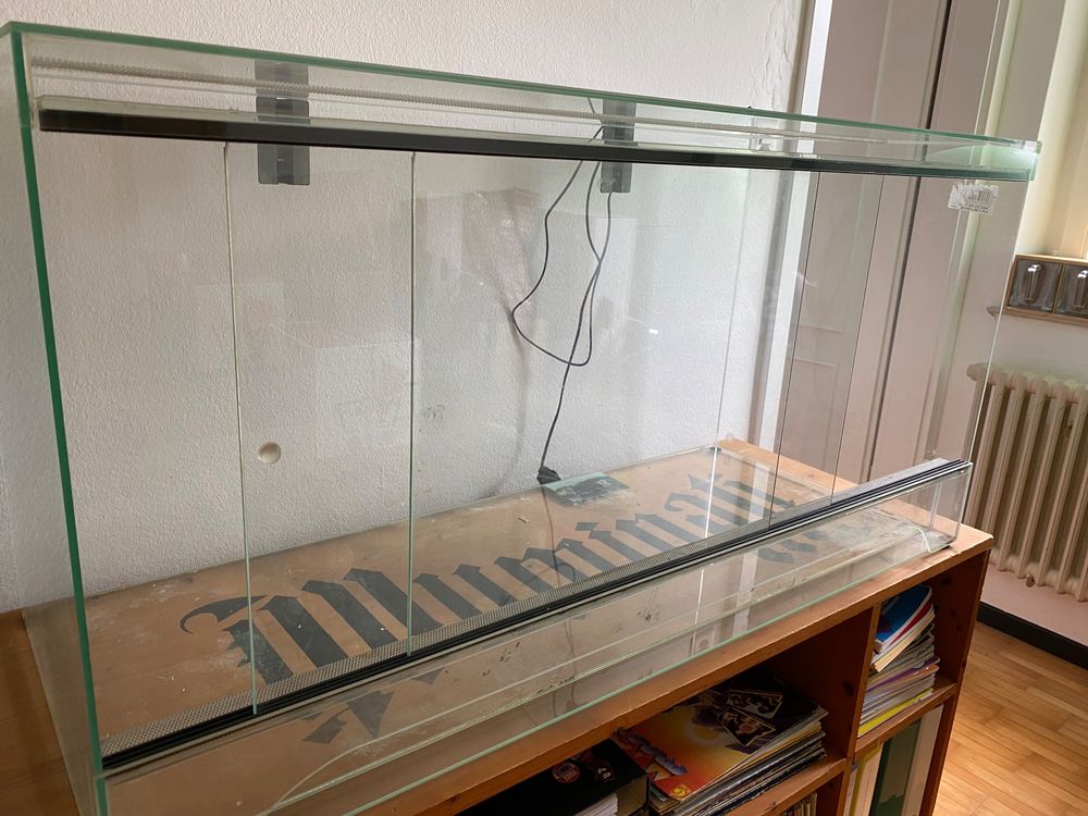 HighFree Glasterrarium Mit Tablett - 30 Cm Hoch, Wasserdicht, Für Sukkulenten & Kleintiere, Schwarz
