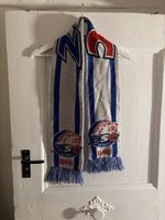 ZSC Lions Play Off Time! Schal
