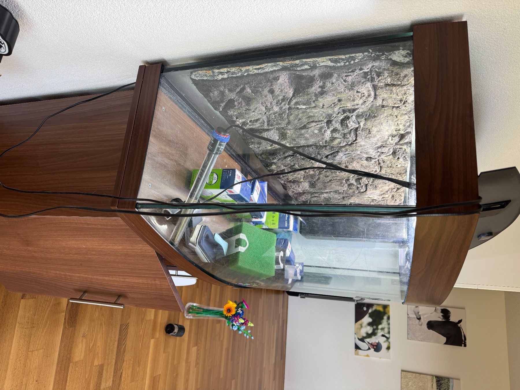 Juwel Acquari: Juwel Aquarium Vision 260 LED – Usato da Zetzwil venduto da Fidibus25 3