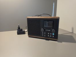 PURE Digitalradio Evoke H4 Walnuss mit Netzteil