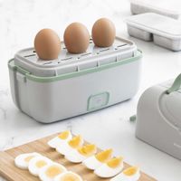 Elektrische Dampf-Lunchbox, mit Rezepten