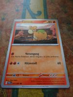 POKEMON  Camaub     G  PAF DE  011/091  KP80  2024