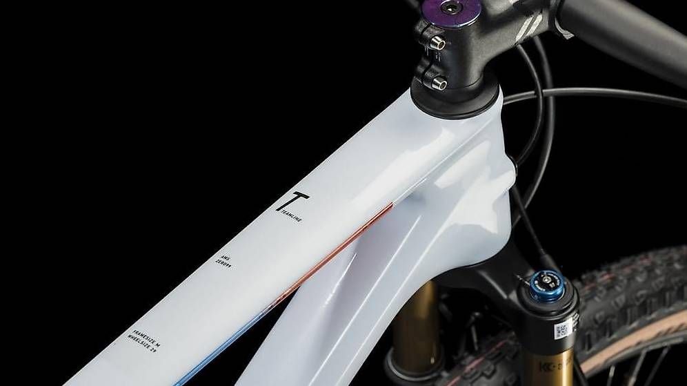Velos: Cube Ams Zero99 C:68X SLT 29 – Gebraucht aus Bévilard von Palouette 3