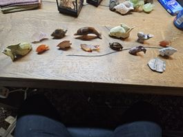 Stein Fische Sammlung 14 Stk. (T)
